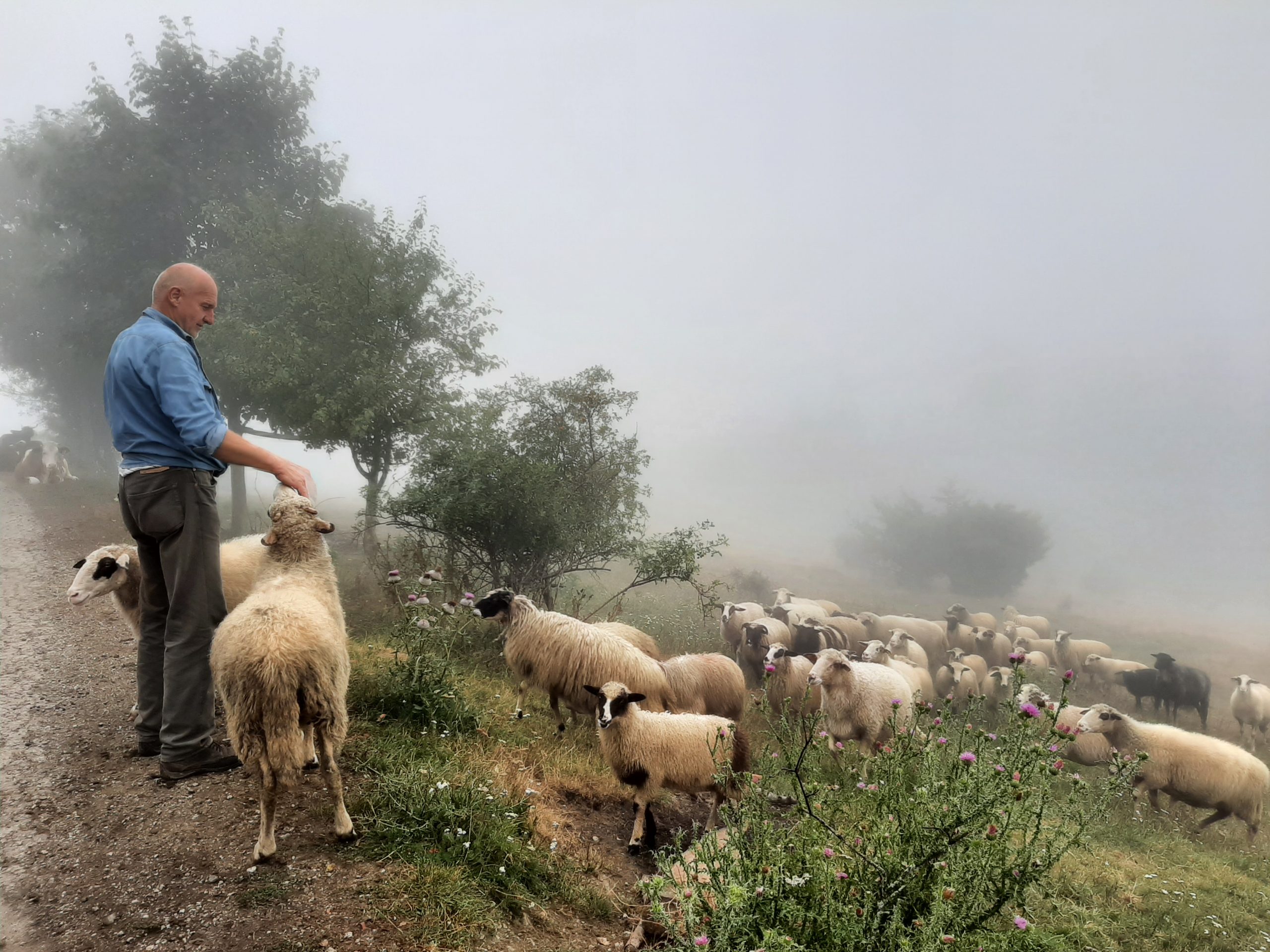 Foto: Andrej Mentel (kozia farma na Planinici pri Vareši (Bosna a Hercegovina))
